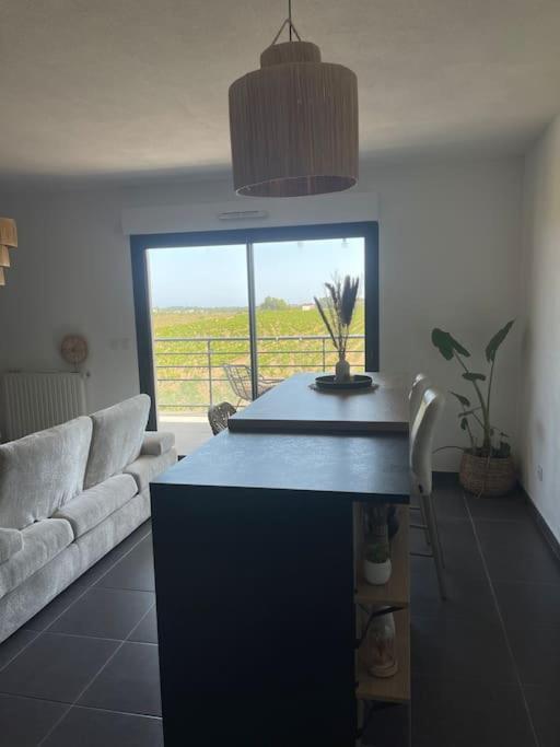 Appartement Vue Vigne Perpignan Exteriér fotografie