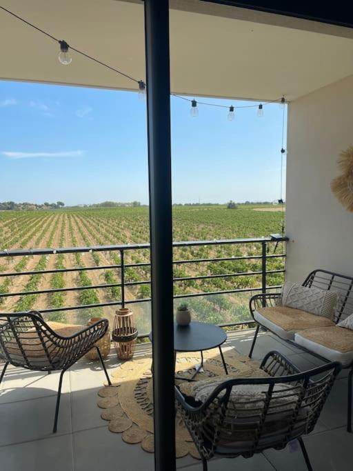 Appartement Vue Vigne Perpignan Exteriér fotografie