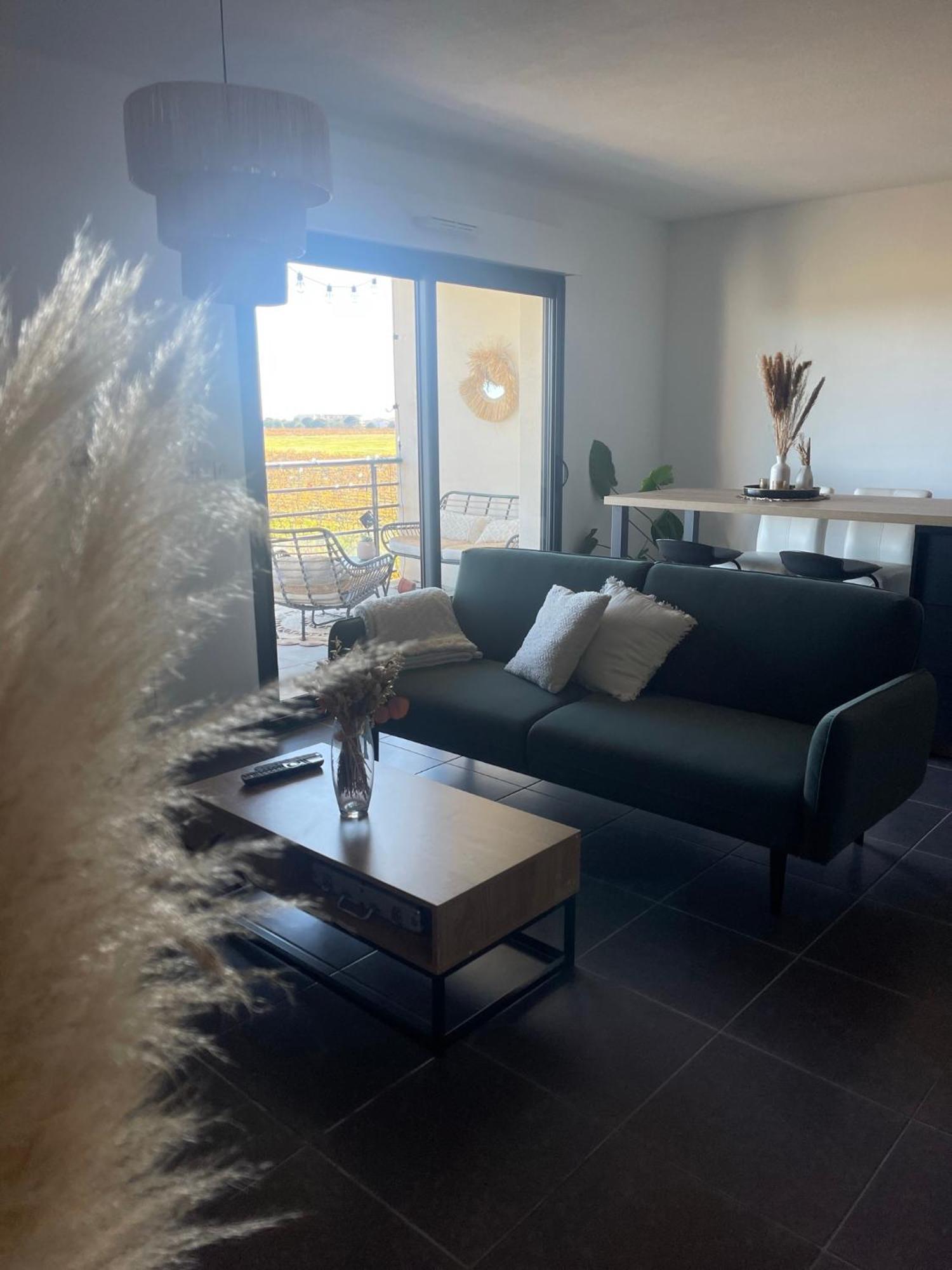 Appartement Vue Vigne Perpignan Exteriér fotografie